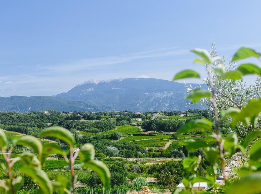 Photo paysage Mont Ventoux