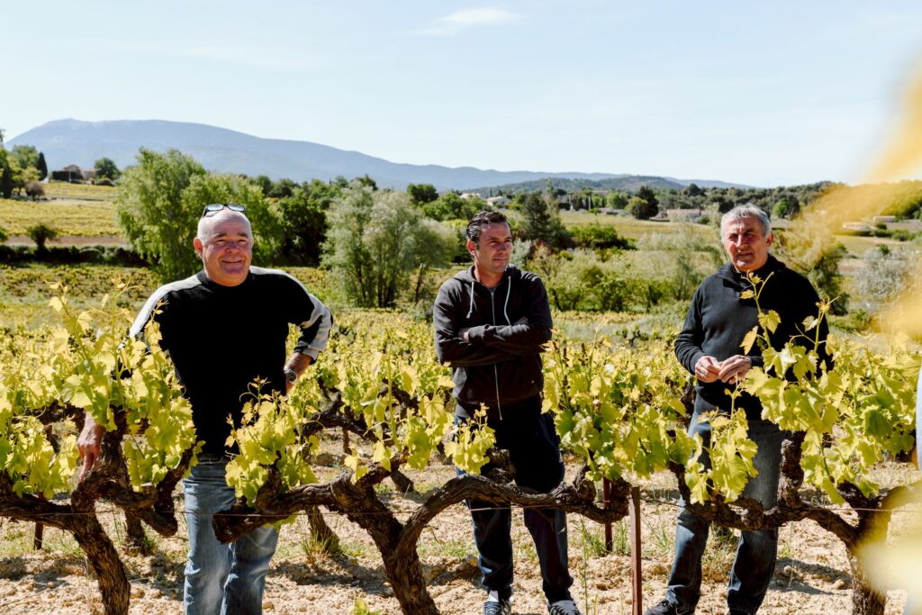 puymeras-11-min photo vigneron