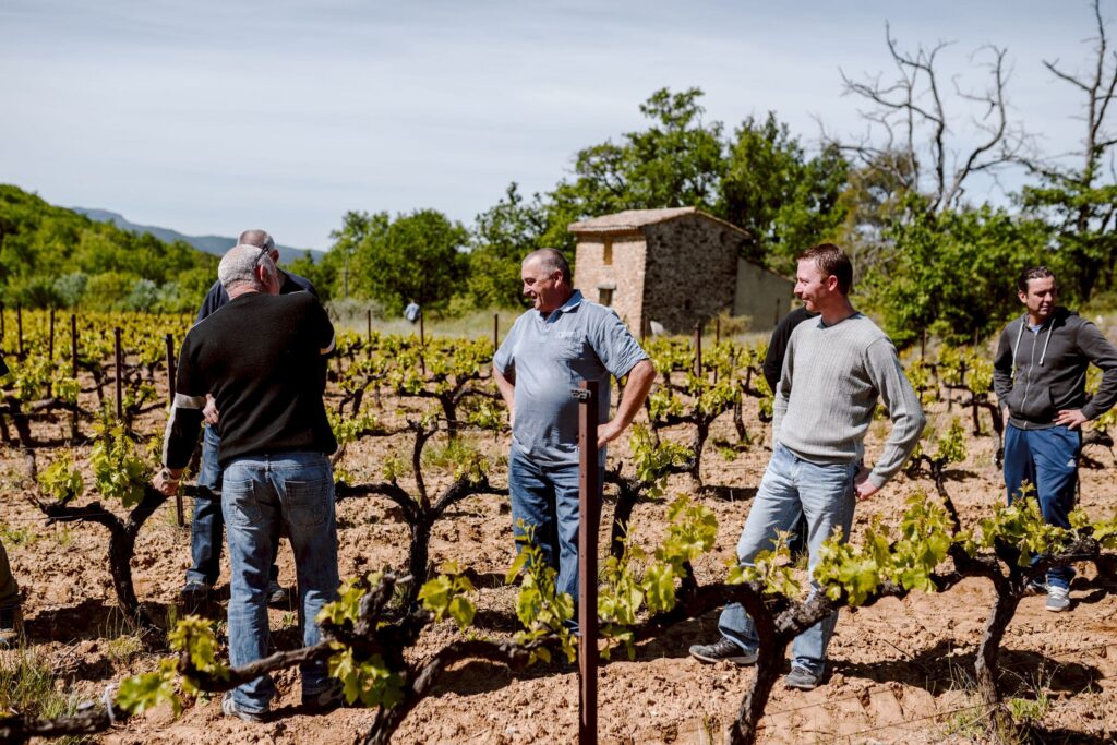 puymeras-48-min photo vigneron