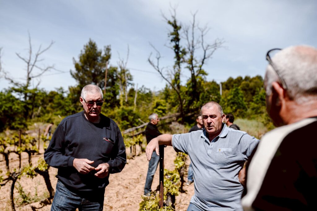 puymeras-54-min photo vigneron