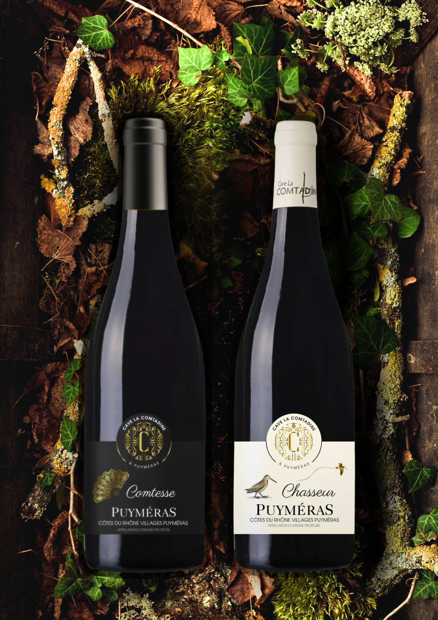 Les Historiques - Cave la Comtadine